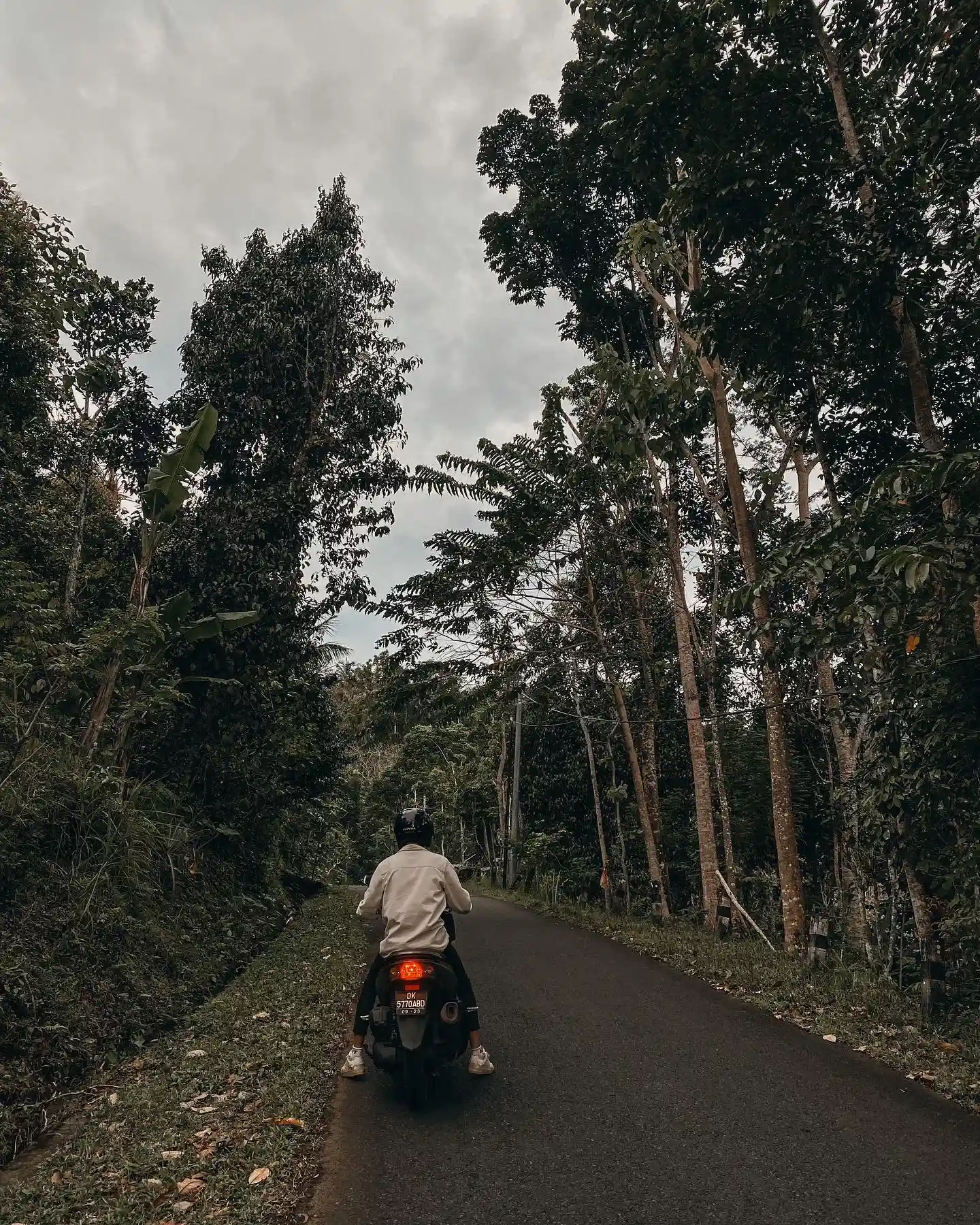 A motorcycle ride through a forest road
